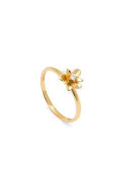 Anillo Gardenia Baño Oro