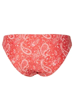 Braga de bikini estampdo pasley