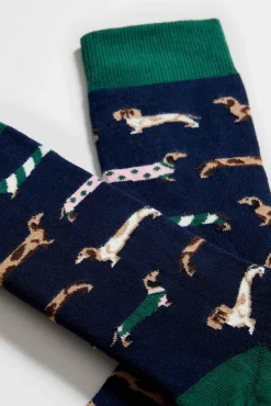 Calcetines altos perro salchicha