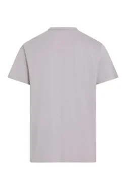Camiseta básica logo Calvin Klein gris
