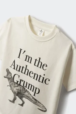 Camiseta dinosaurio niño