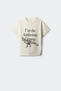 Camiseta dinosaurio niño