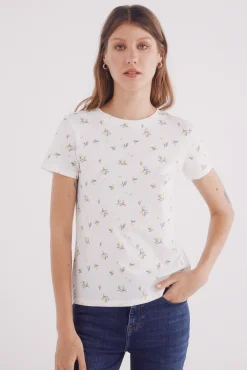 Camiseta estampado frutas