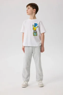 Camiseta Pokemon