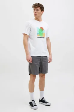 Camiseta regular fit estampada