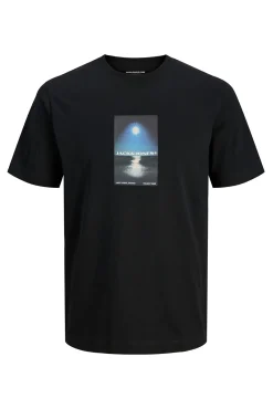 Camiseta regular fit estampada