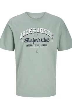 Camiseta regular fit estampada