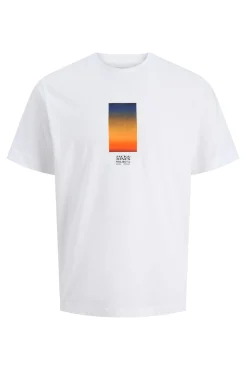 Camiseta regular fit estampada