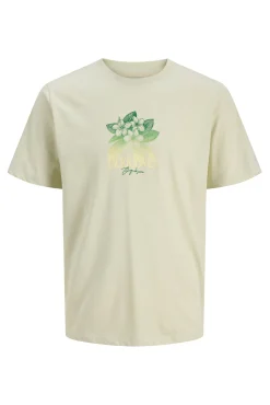 Camiseta regular fit estampada