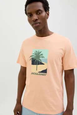 Camiseta regular fit estampada