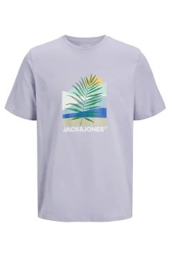 Camiseta regular fit estampada