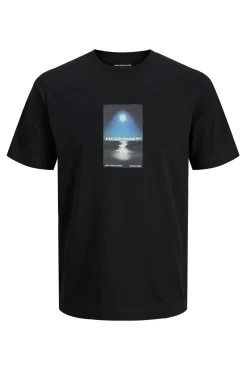 Camiseta regular fit estampada