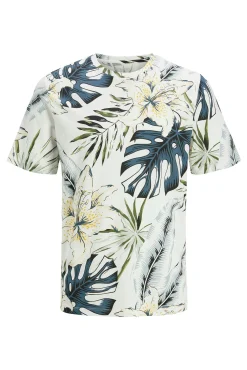 Camiseta regular fit manga corta