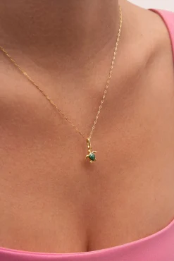 Charm Tortuga Baño Oro