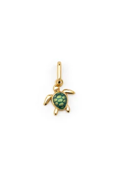 Charm Tortuga Baño Oro