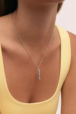 Collar Aqua Fish Acero