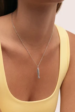 Collar Aqua Fish Acero