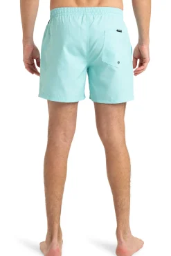 Everyday Solid 15" - Short de Natación para Hombre