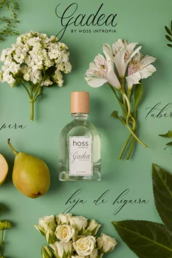 Gadea. Perfume Hoss Intropia