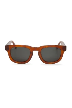 Gafas de sol siesta