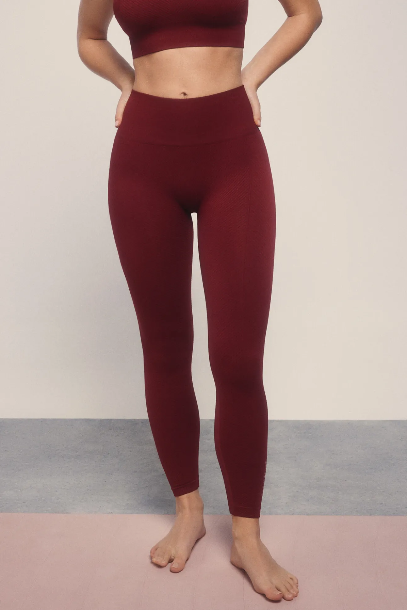 Leggings SEAMLESS COMFORT burgundy