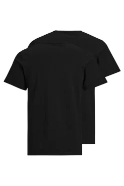 Pack 2 camisetas regular fit