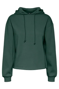 Sudadera básica capucha