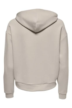 Sudadera básica con capucha