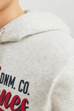 Sudadera capucha estándar
