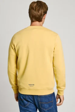 Sudadera Damian Crew