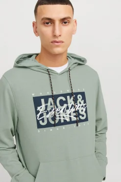 Sudadera estándar fit capucha