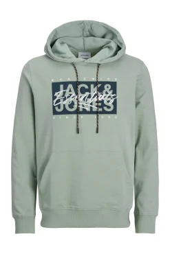 Sudadera estándar fit capucha