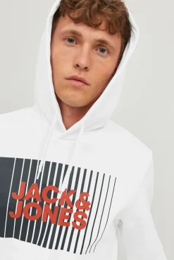 Sudadera estándar fit capucha