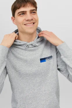 Sudadera estándar fit capucha