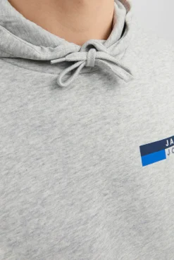 Sudadera estándar fit capucha