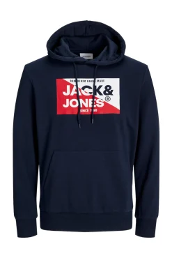 Sudadera estándar fit capucha