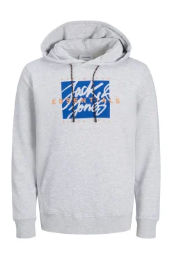 Sudadera estándar fit capucha