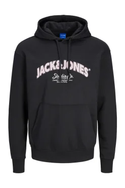 Sudadera regular fit capucha