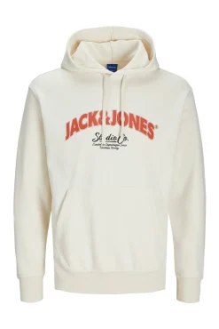 Sudadera regular fit capucha