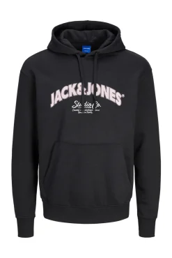 Sudadera regular fit capucha