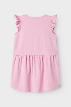 Vestido Patrulla Canina