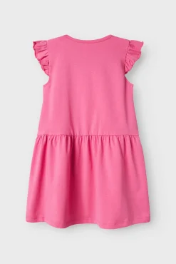 Vestido Patrulla Canina
