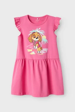 Vestido Patrulla Canina